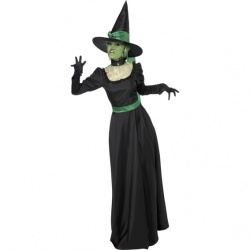 Kostým "Čarodějnice - zelená"