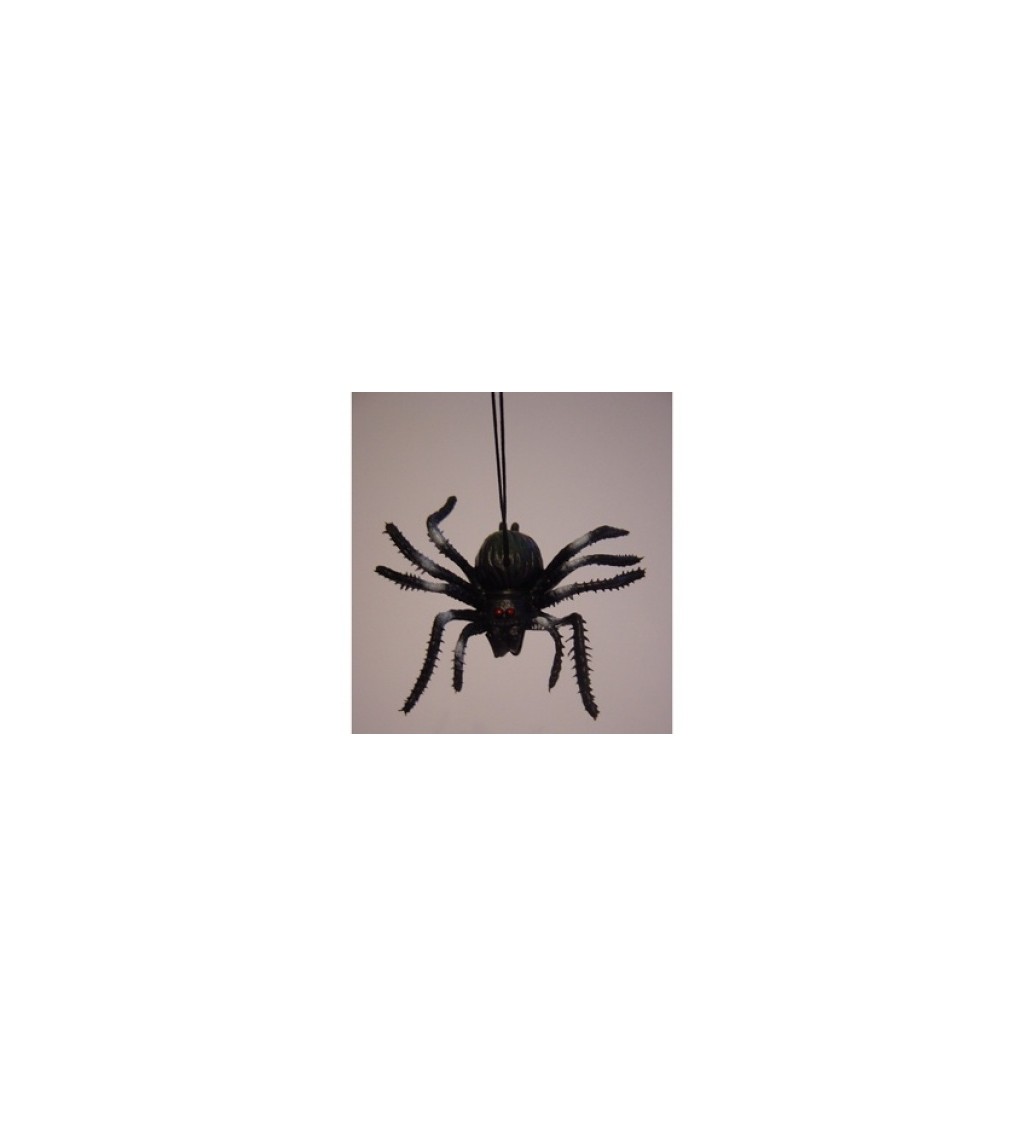 Pavouk na gumičce