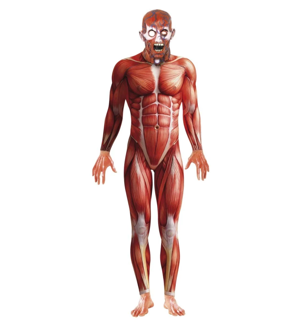 Kostým "Anatomie muže - Druhá kůže"