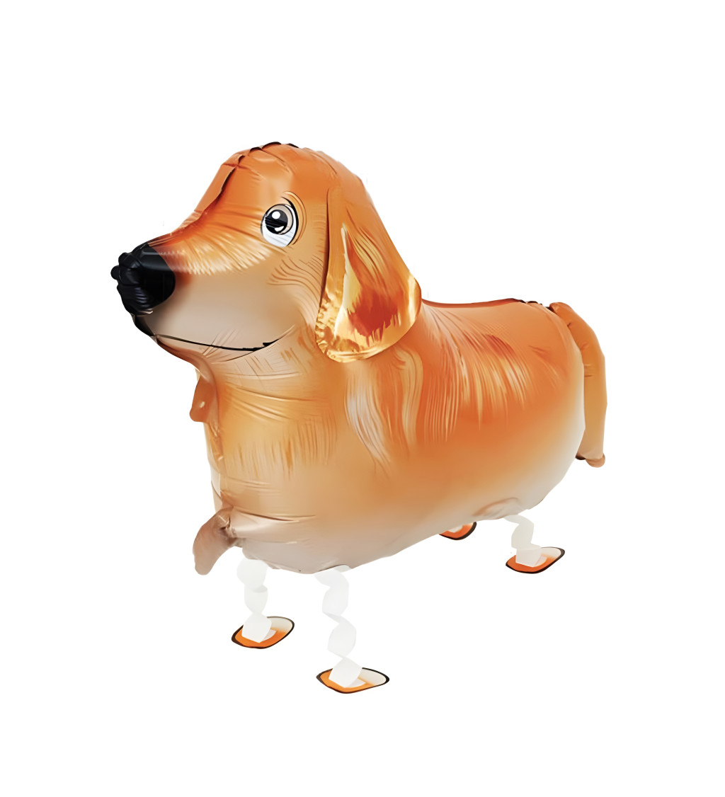 Chodící balónek - Zlatý retrívr