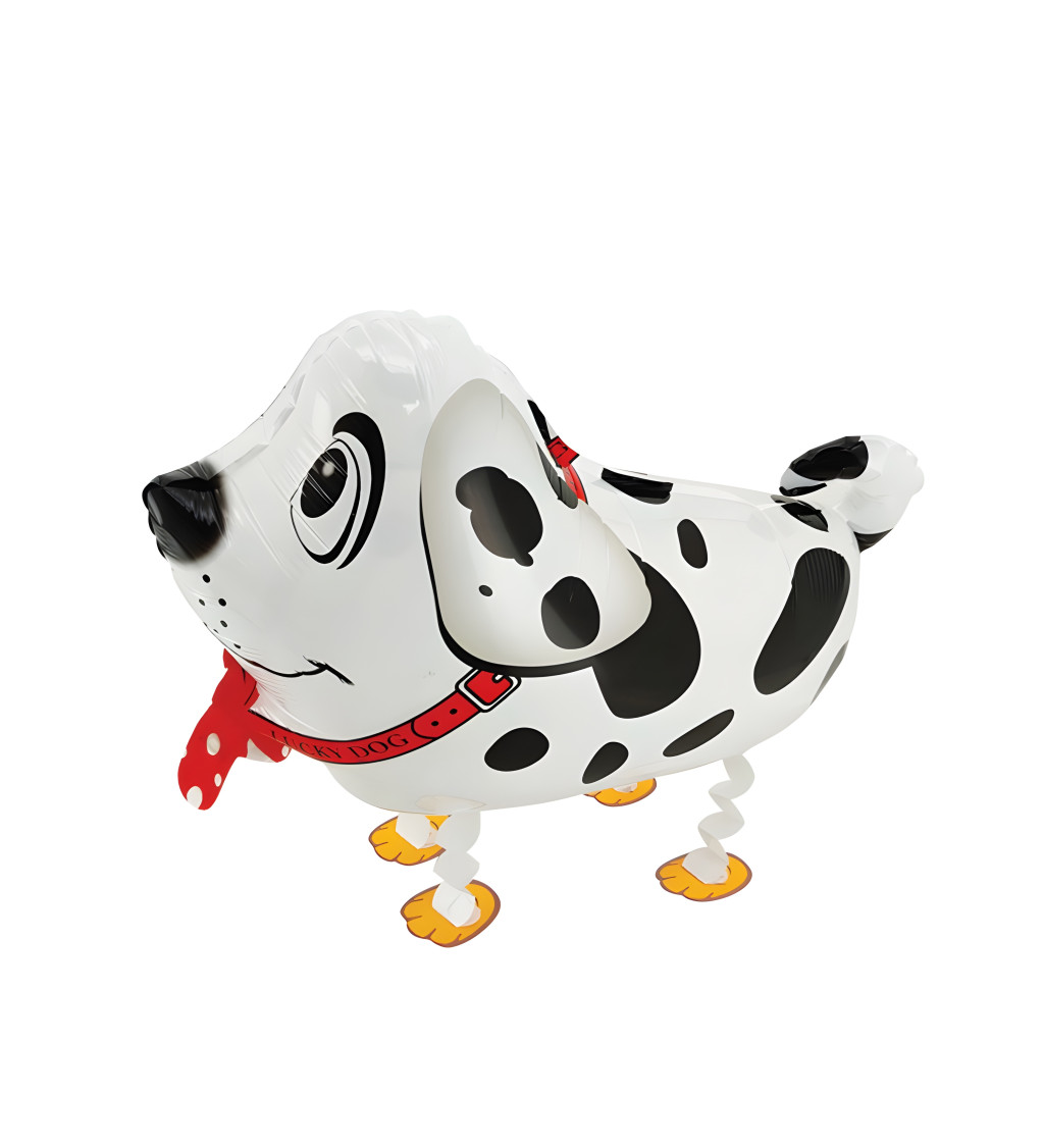 Chodící balónek - Dalmatin