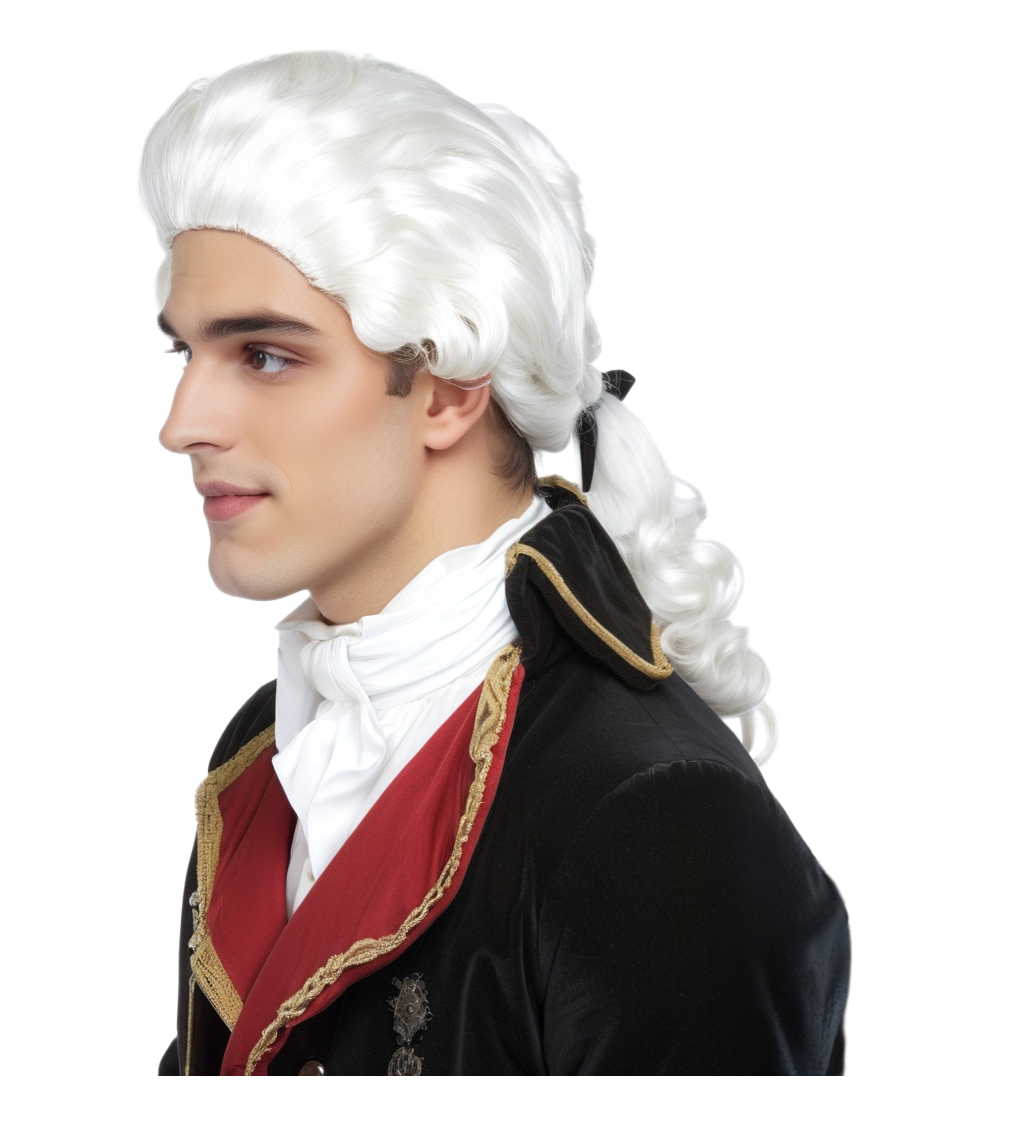 Pánská paruka – barokní šlechtic