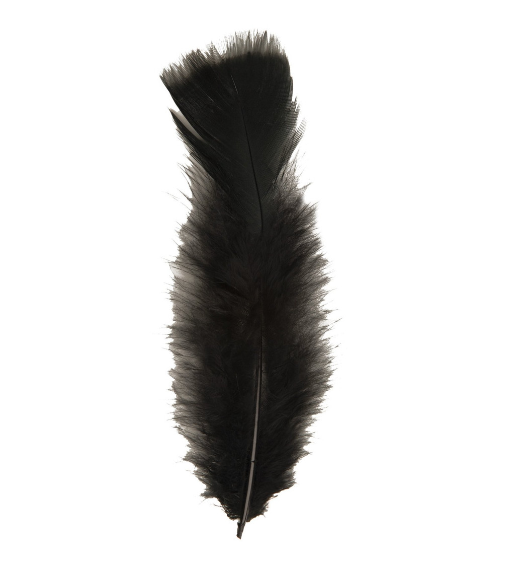 Peříčka 50 ks - černé