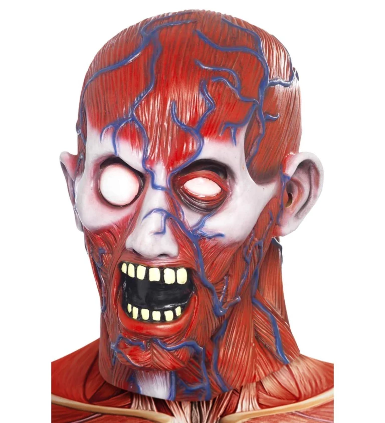 Halloween maska Anatomie muže